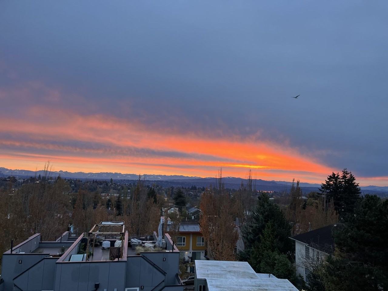 2010 14th Ave S #B - Photo 2 of 42