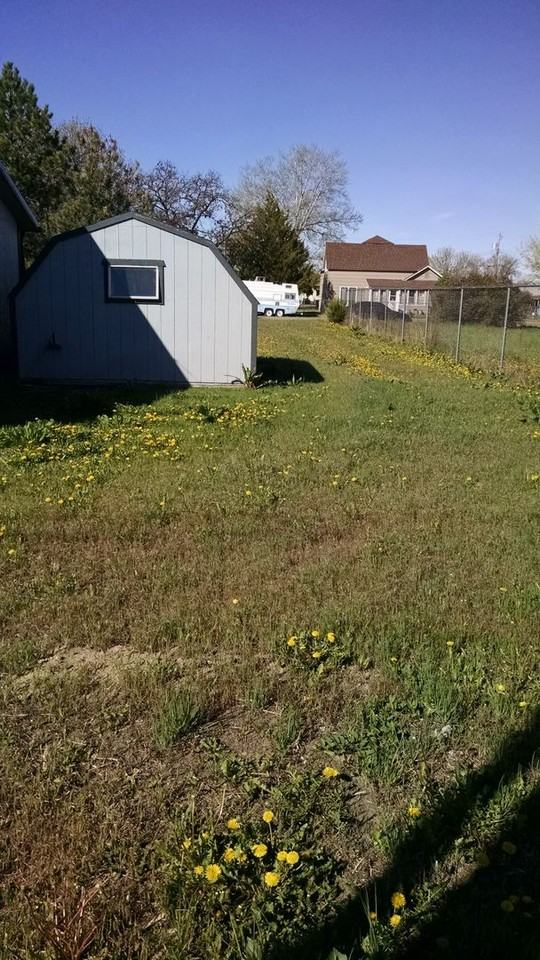 289 S 9th Ave - Photo 2 of 18