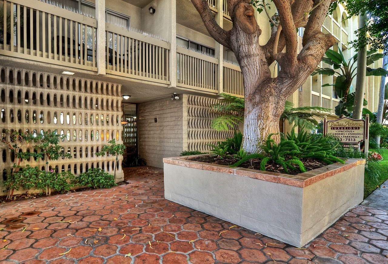 Pallas Athena - Photo 3 of 50