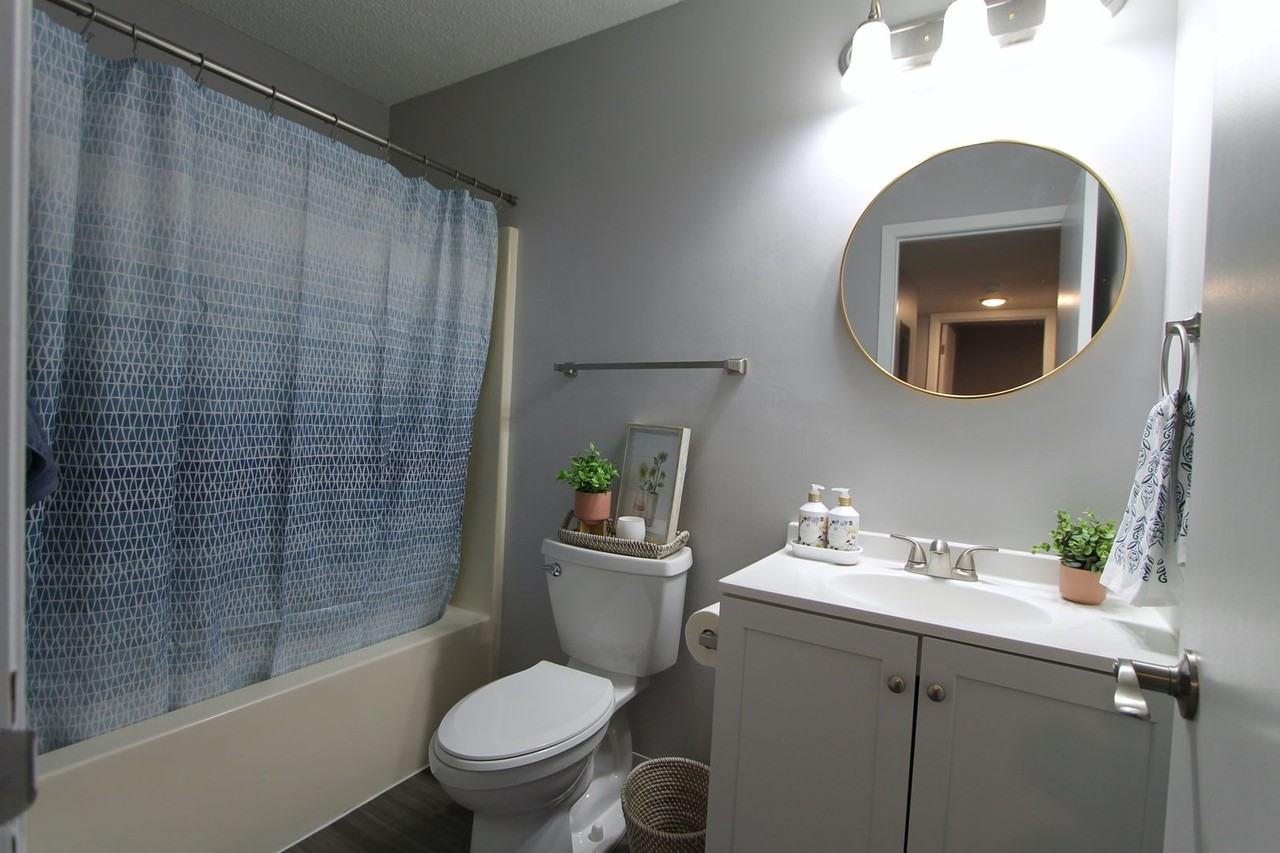 The Cumberland of Columbus.  Modern look in a convenient location 1 & 2 bedroom apartments.  Pet friendly! - Photo 6 of 14