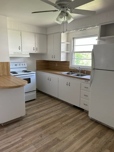 119 Peterson St - Photo 6 of 18