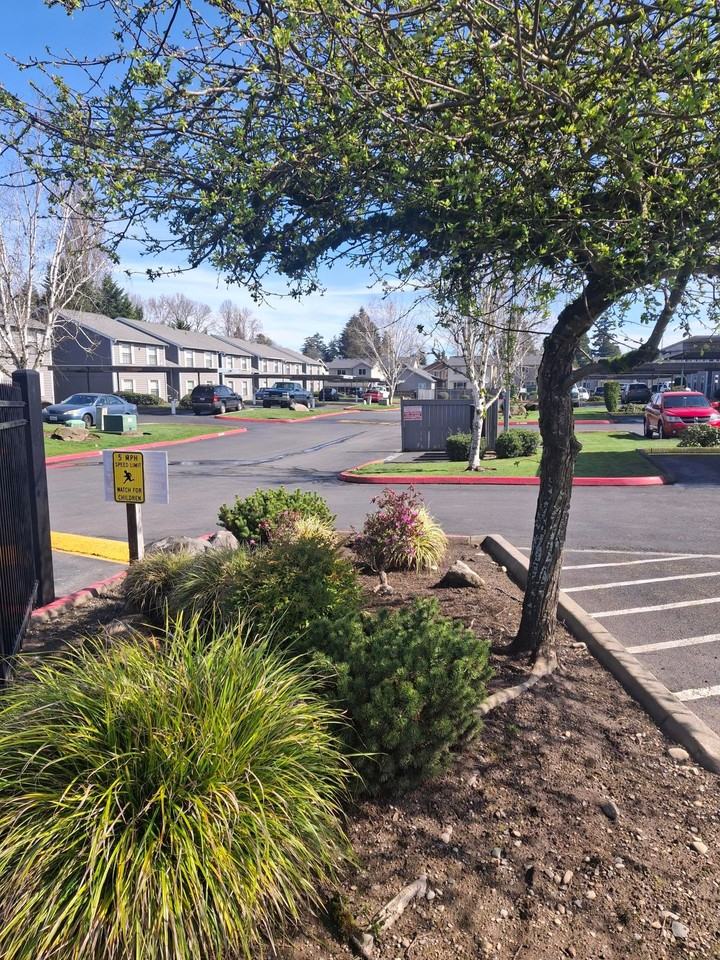 Cascade Court - Photo 3 of 12