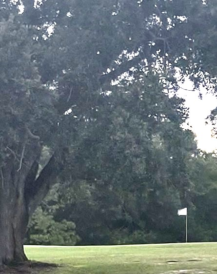 3572 Blossom Circle #1488 - Photo 6 of 12