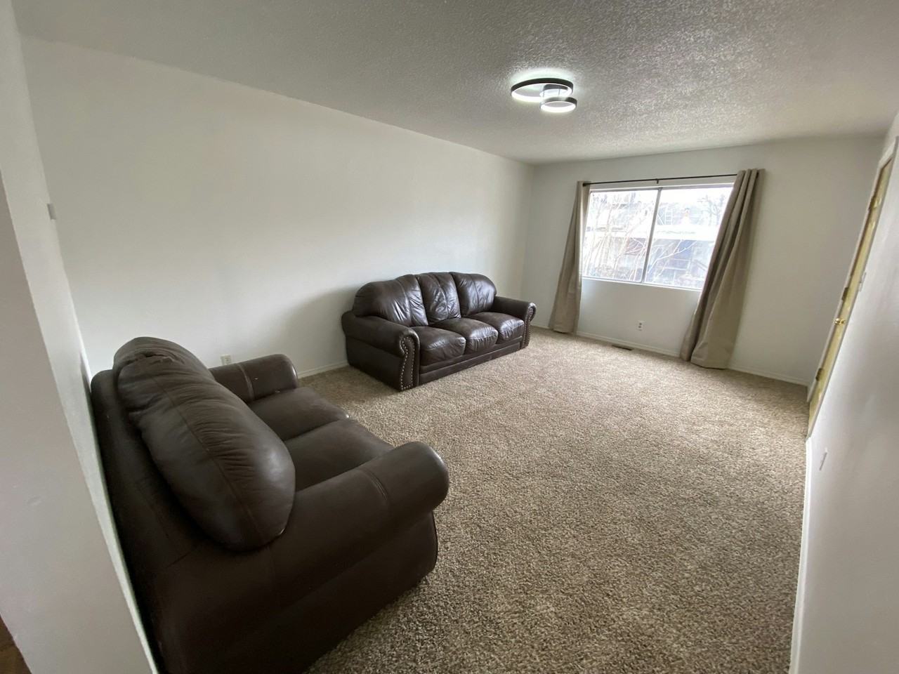 18 Palmer St #20PALMERST - Photo 3 of 11