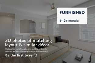 1000 Lupine - Photo 1 of 1