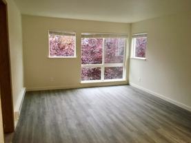 Oak Tree - Photo 1 of 1