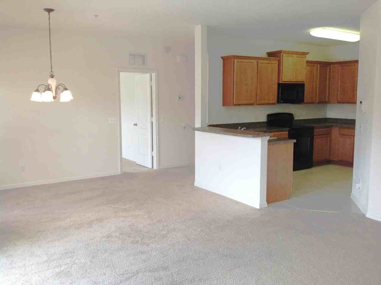 2300 Betsy Ross Ln #21A - Photo 2 of 19