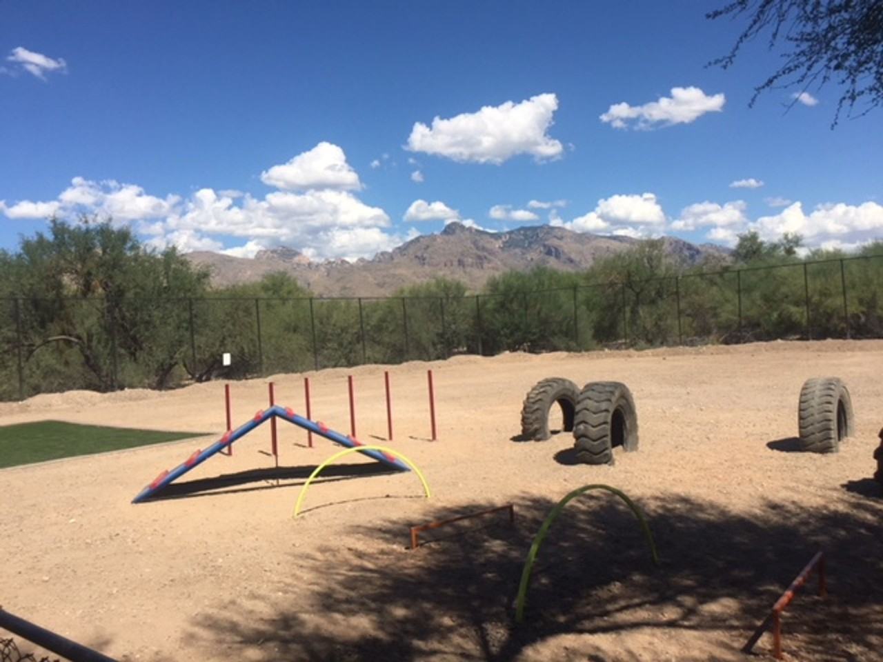 Casas Adobes Apartments - Photo 4 of 44