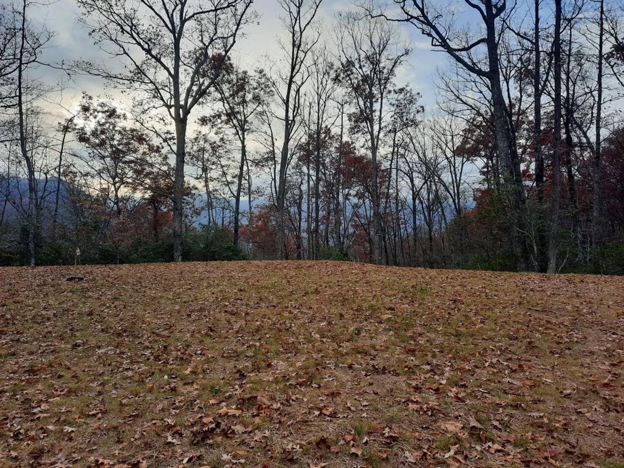 89 Meerkat Ln - Photo 6 of 26