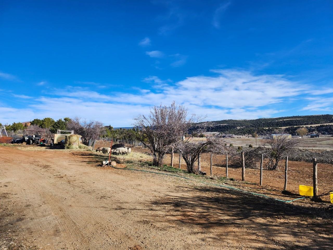 17730 Road 27.9 - Photo 3 of 19