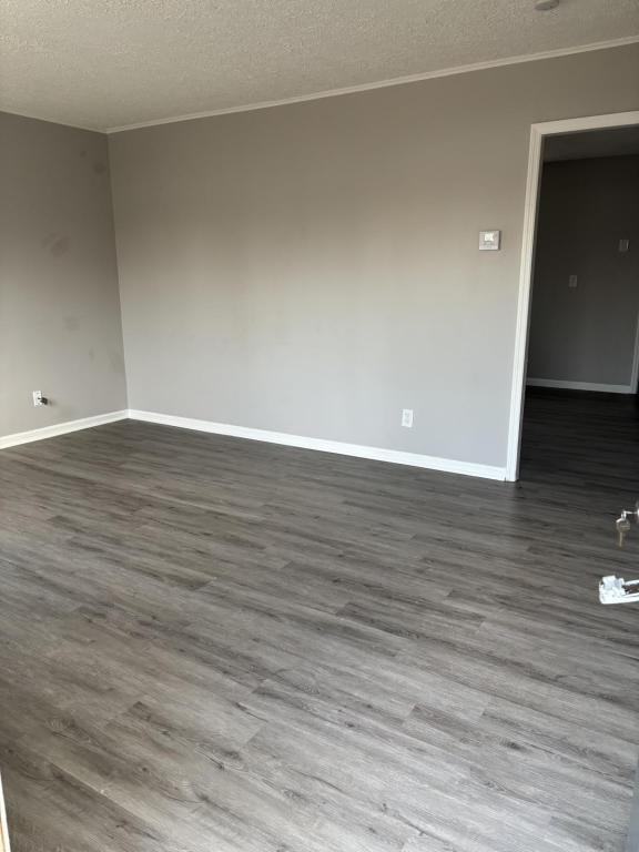 4576 Live Oak Dr - Photo 4 of 13