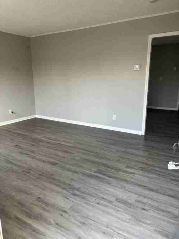 4576 Live Oak Dr - Photo 6 of 13