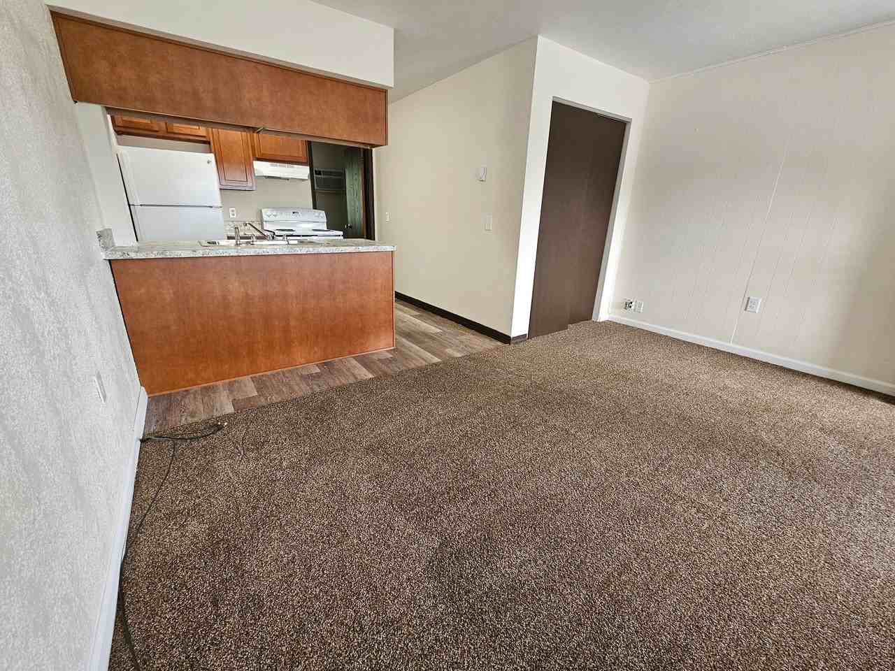 Remodeled One Bedrooms - Photo 5 of 33