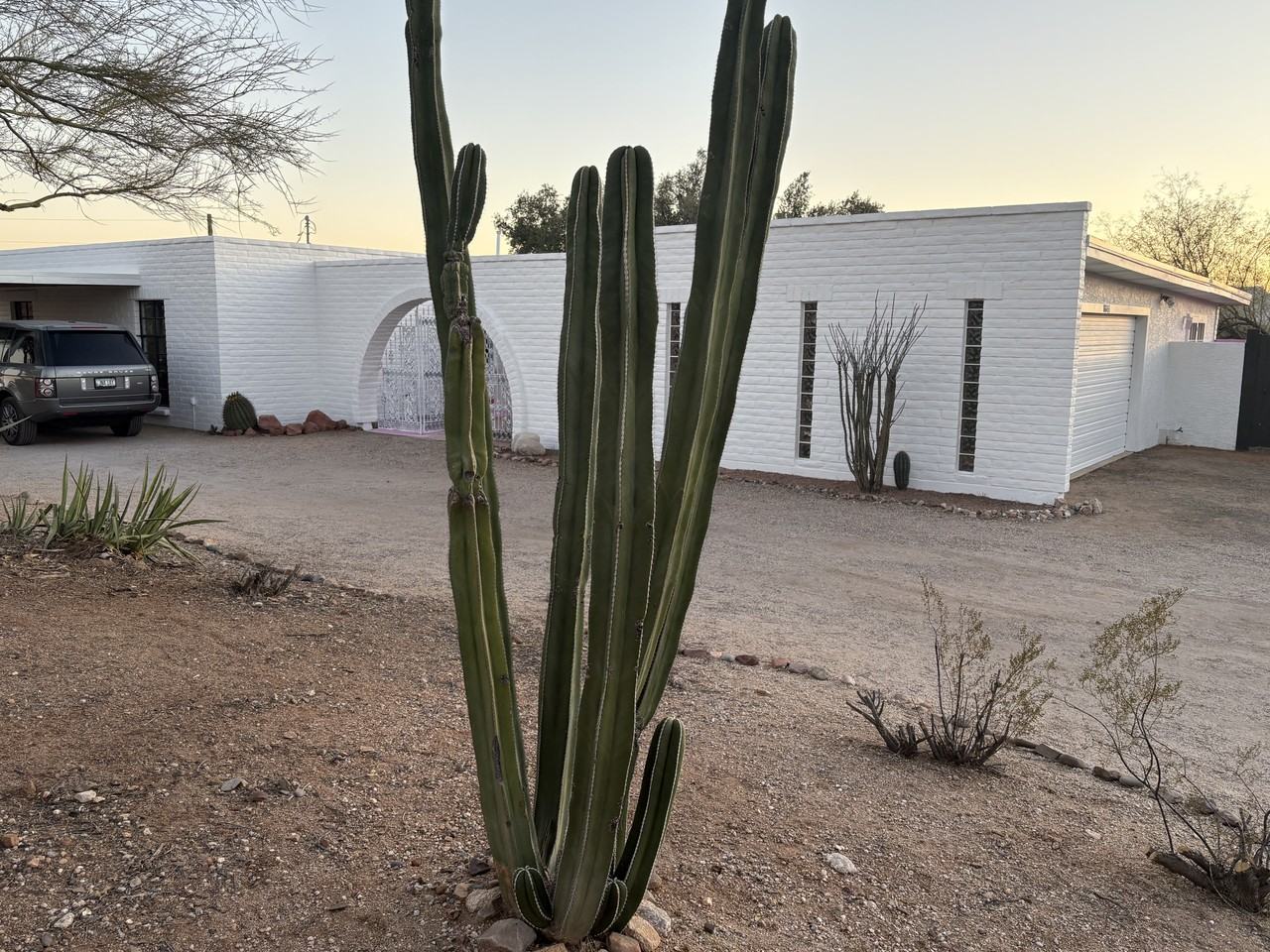 6644 N Amahl Pl #NA - Photo 3 of 19