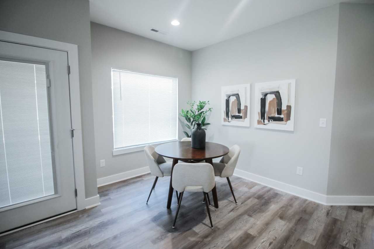 Mallard - Photo 5 of 11