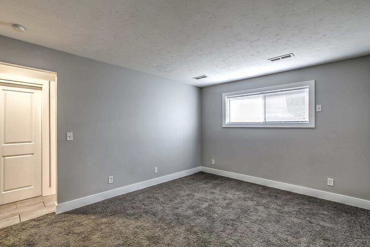 Eleanor - Photo 6 of 21