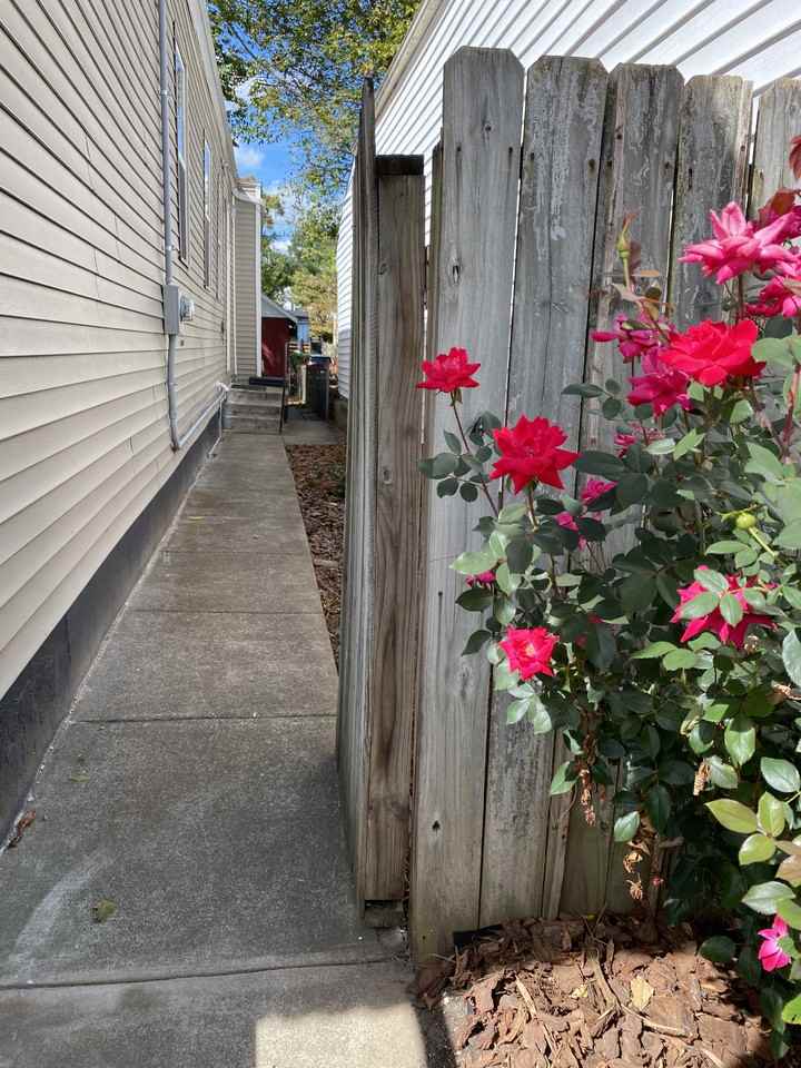 1431 Rufer Ave - Photo 3 of 16