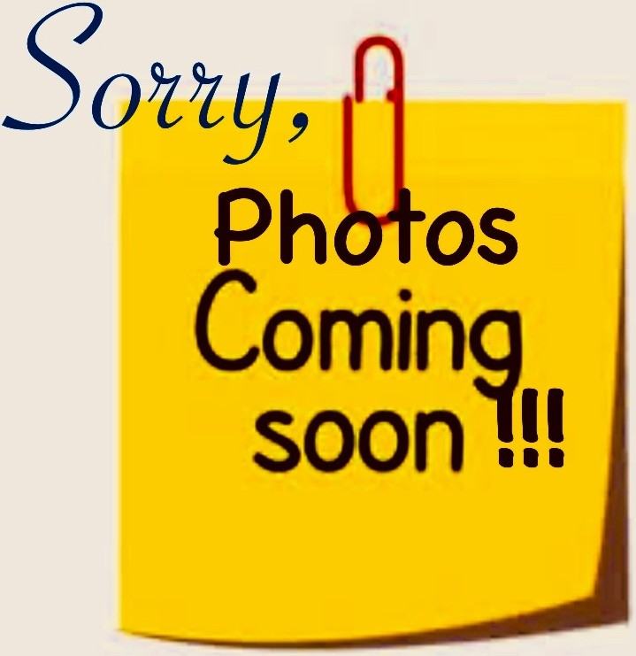 The Mother Lode - Photo 5 of 50