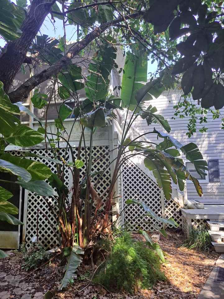 1750 Van Arsdale St #NA - Photo 2 of 14