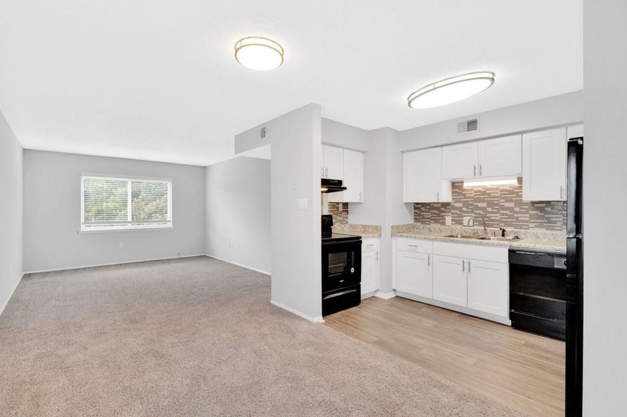 The Boundary at Silver Bluff - Photo 4 of 135