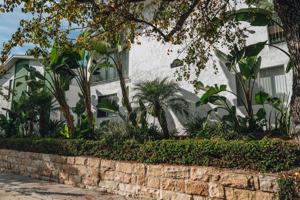 featured image of 320 W Canon Perdido St #3