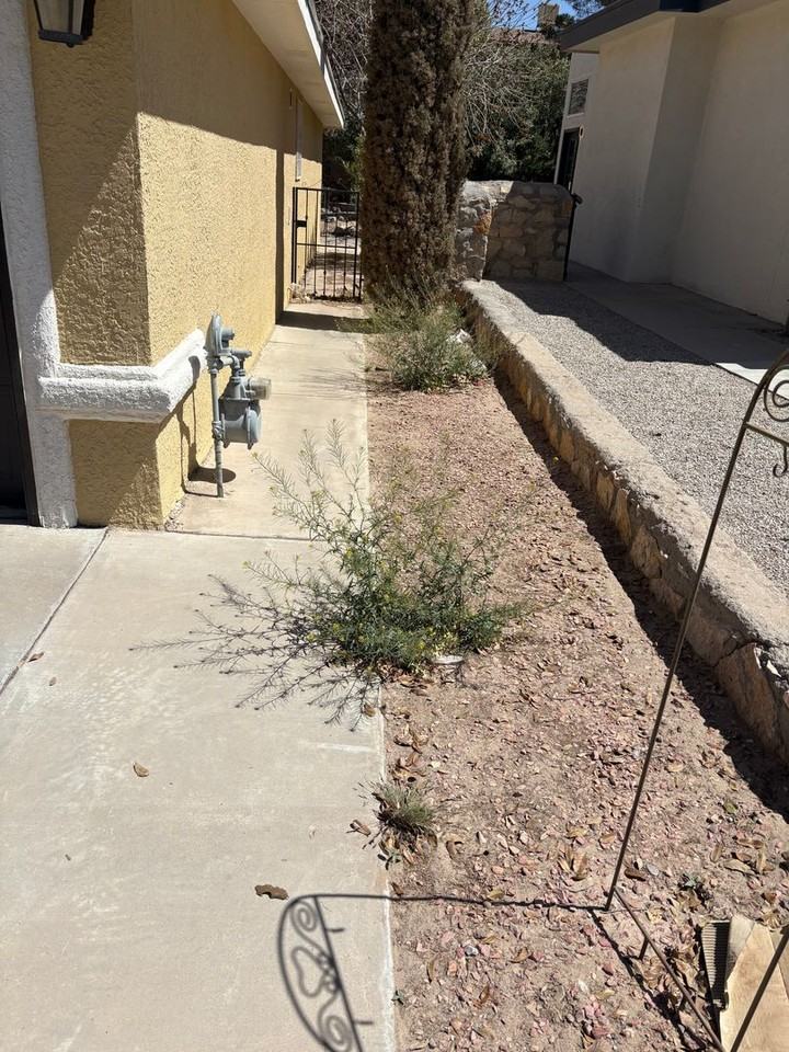 13123 Thea Smith Dr - Photo 3 of 29
