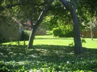 58 Citation Dr - Photo 2 of 12