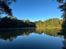 featured image of 1365 Gatewood Dr