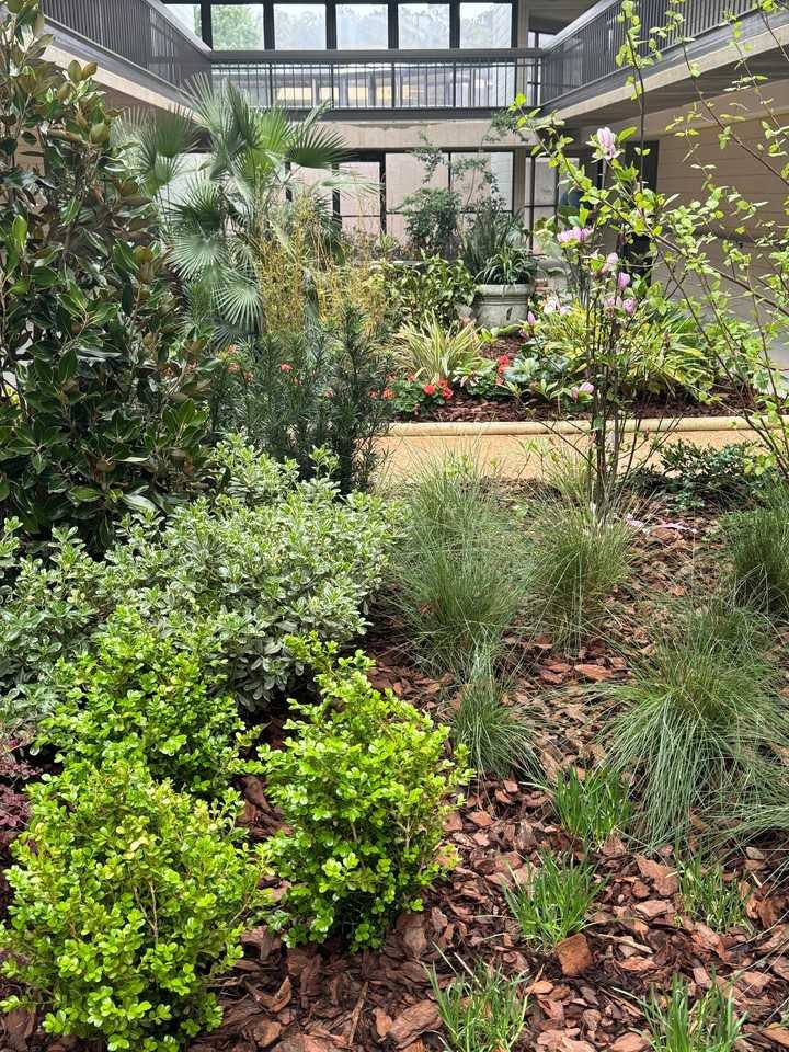 The Residences at Arbor Lake, a 55+ Community - Photo 5 of 24