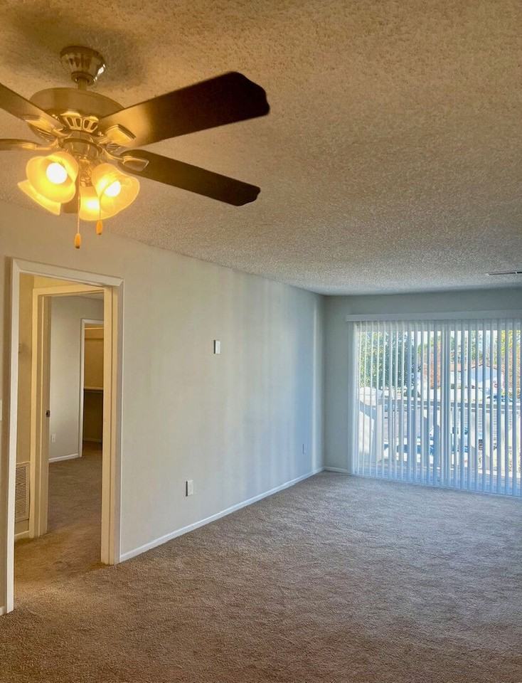 Pelham - Photo 4 of 169