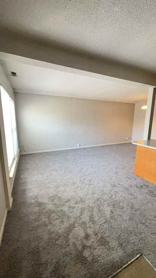 807 West University Avenue - Photo 3 of 11