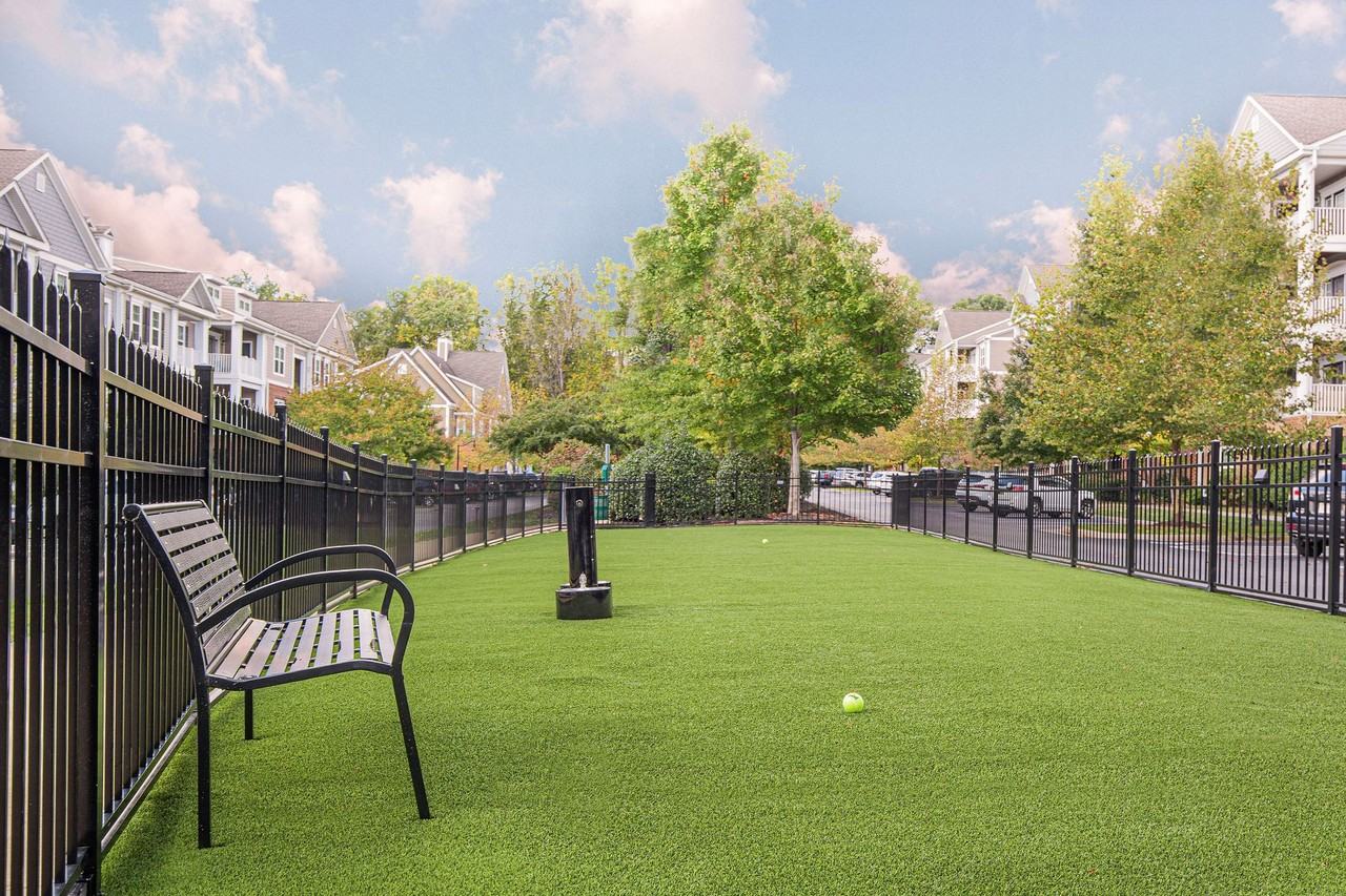 The Reserve at Belvedere - Photo 3 of 48