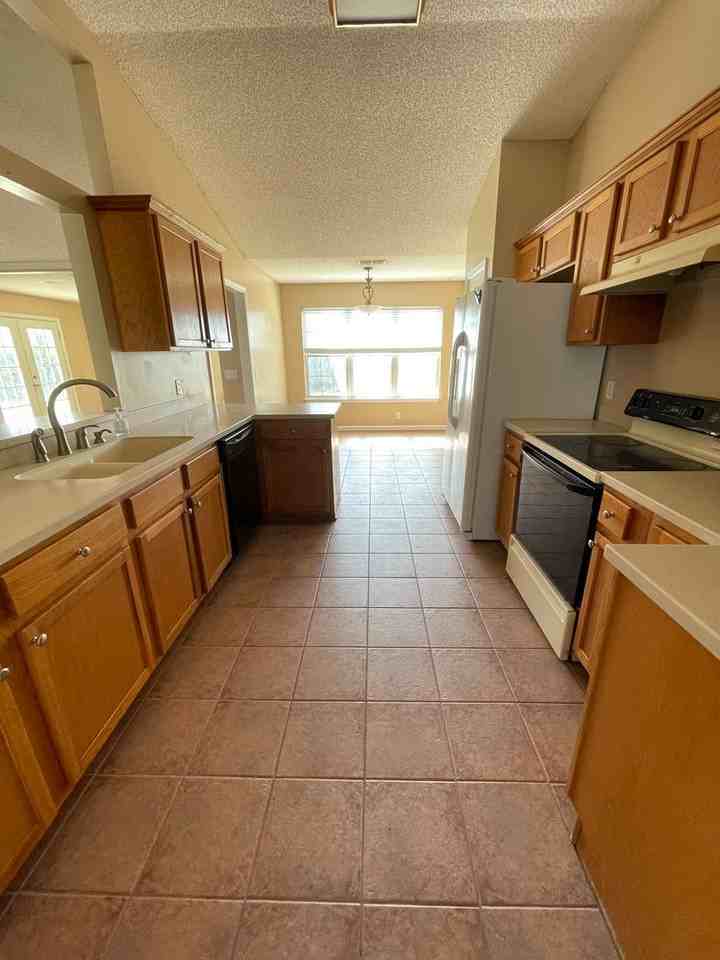 604 Wild Grape Dr - Photo 3 of 11