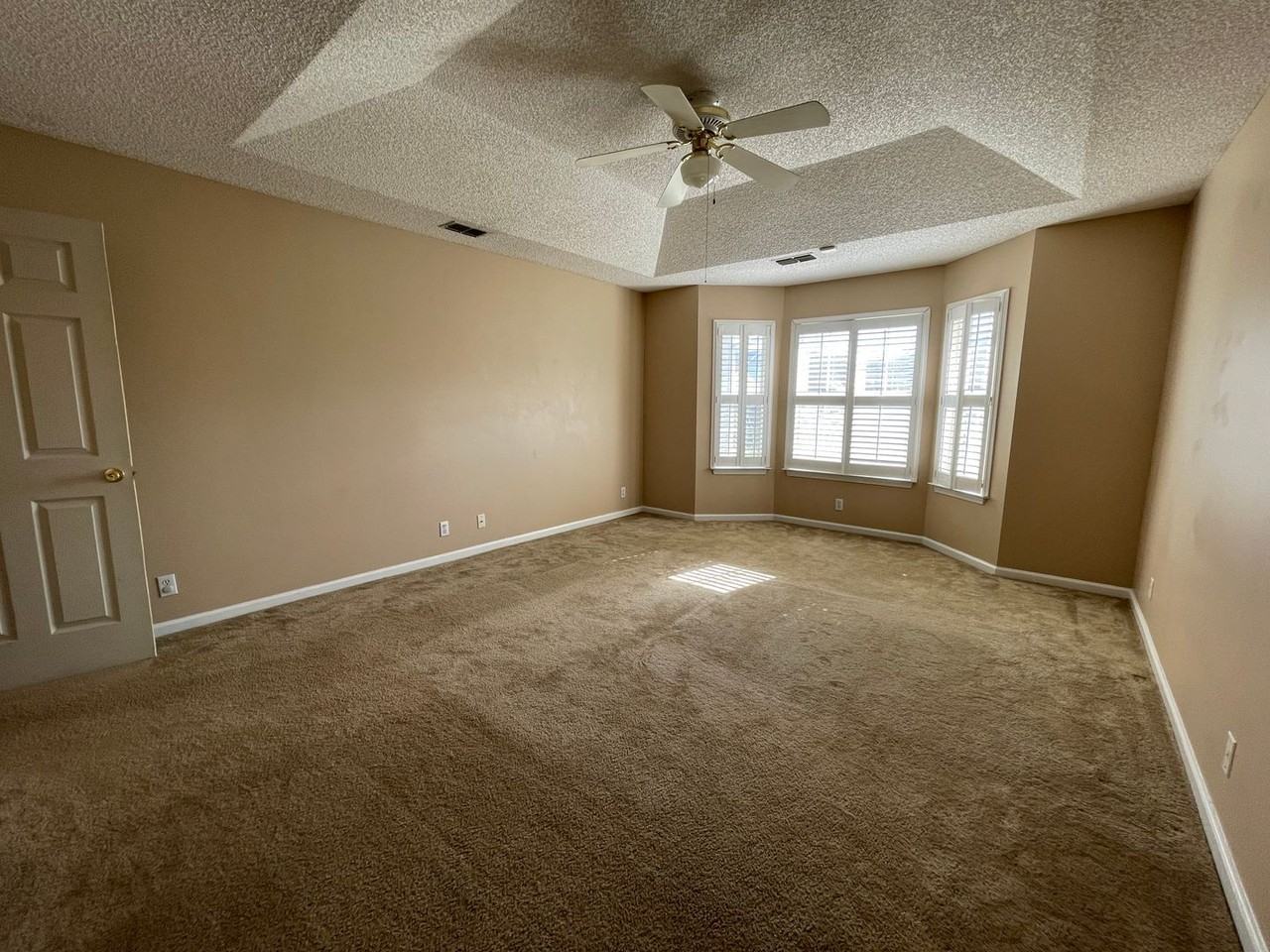 604 Wild Grape Dr - Photo 4 of 11