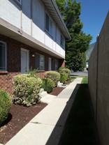 556 Wn #1 - Photo 1 of 1