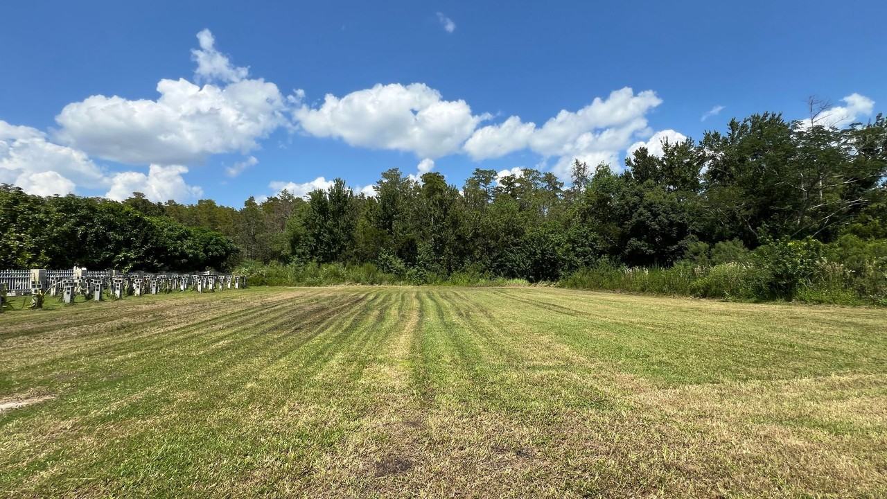 10427 Flowers Ave - Photo 3 of 25