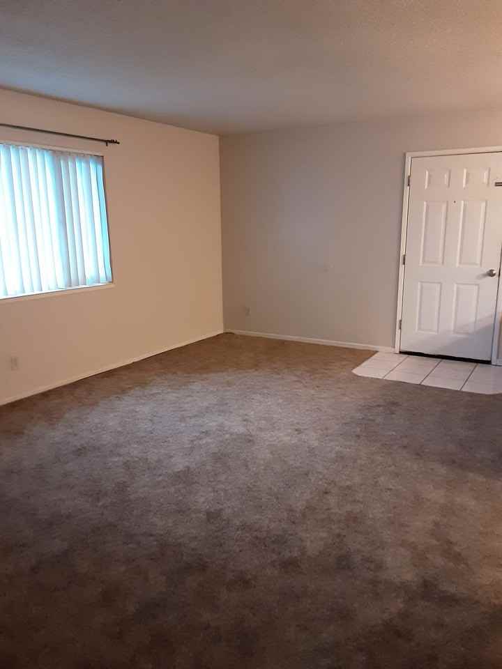 S. Jackson D, 1261 - Photo 3 of 22