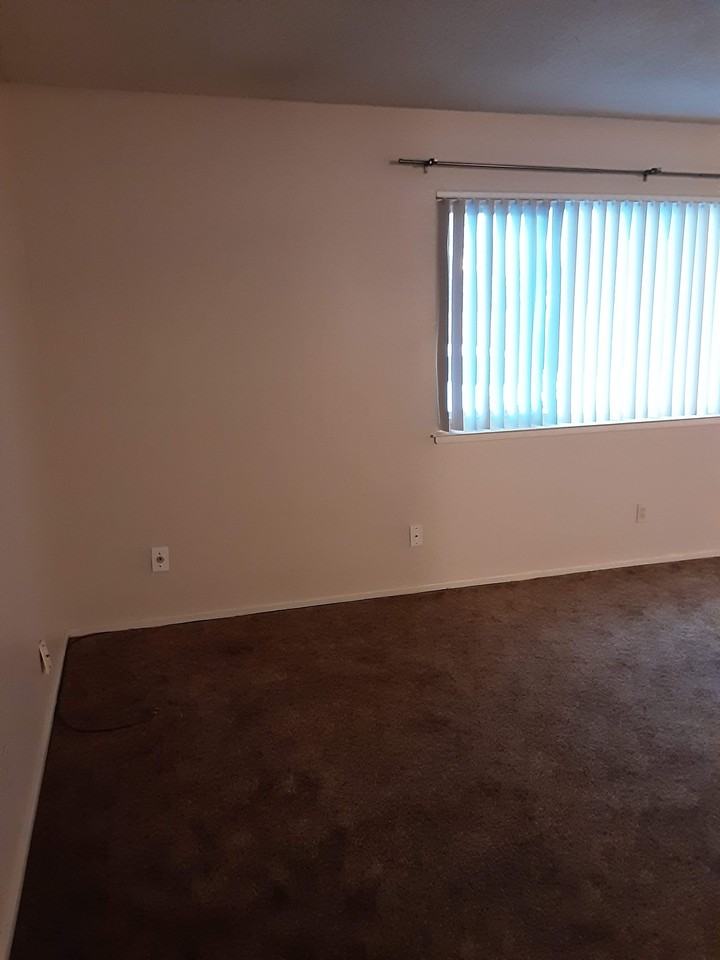 S. Jackson D, 1261 - Photo 7 of 22