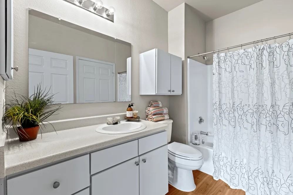 Mariposa Hunter Road 55+ Apartment Homes - Photo 4 of 26