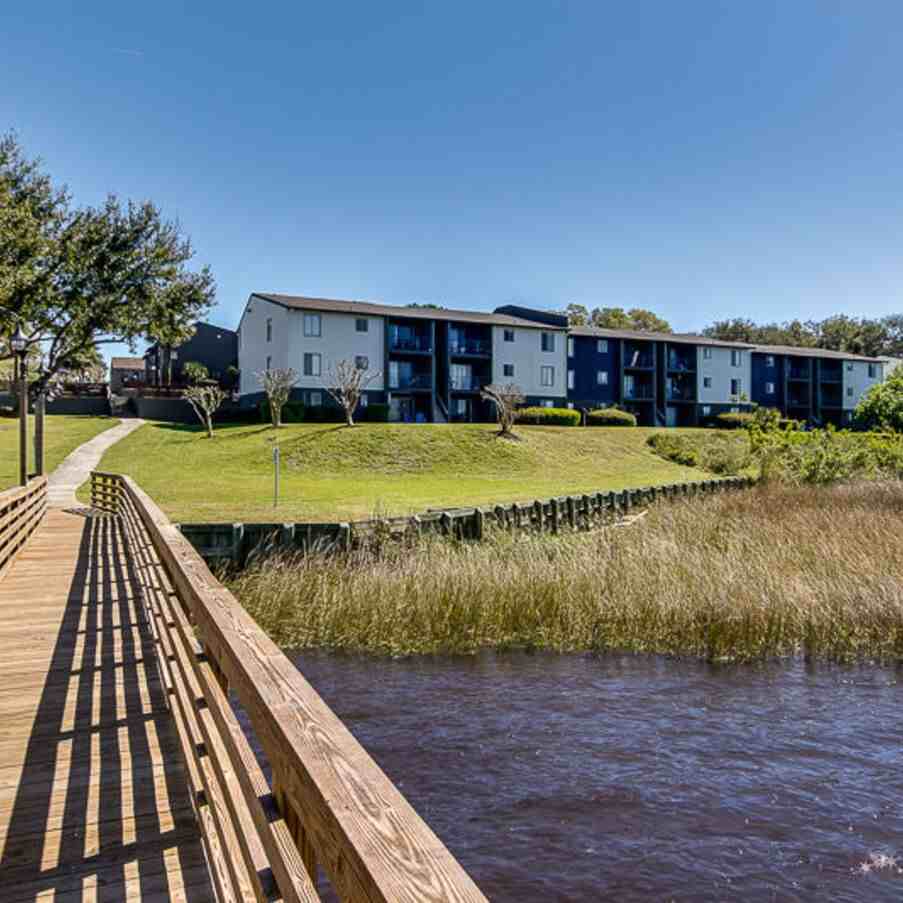 Tree House - Photo 6 of 110