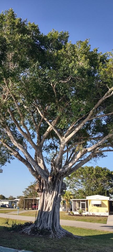 9298 Duke Road - Photo 2 of 16