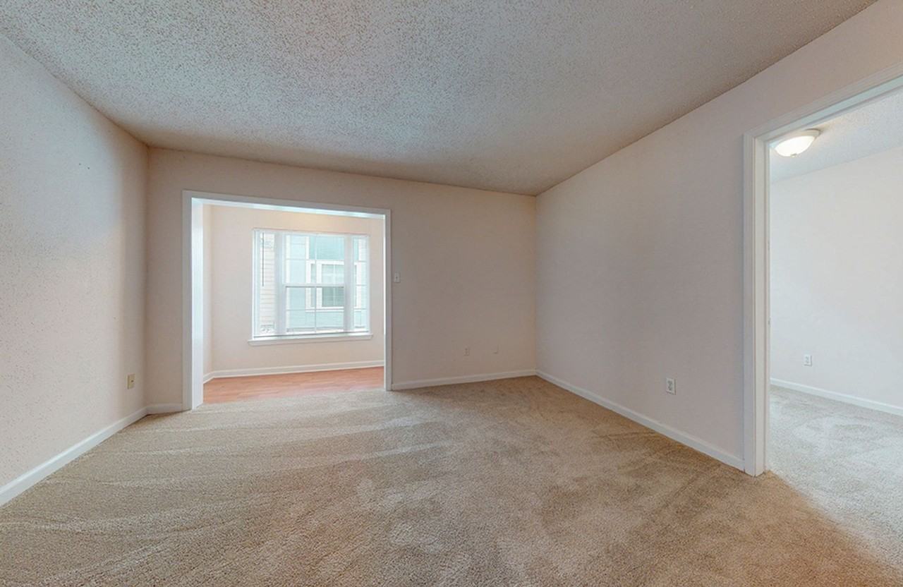 Sandpiper - Photo 2 of 18