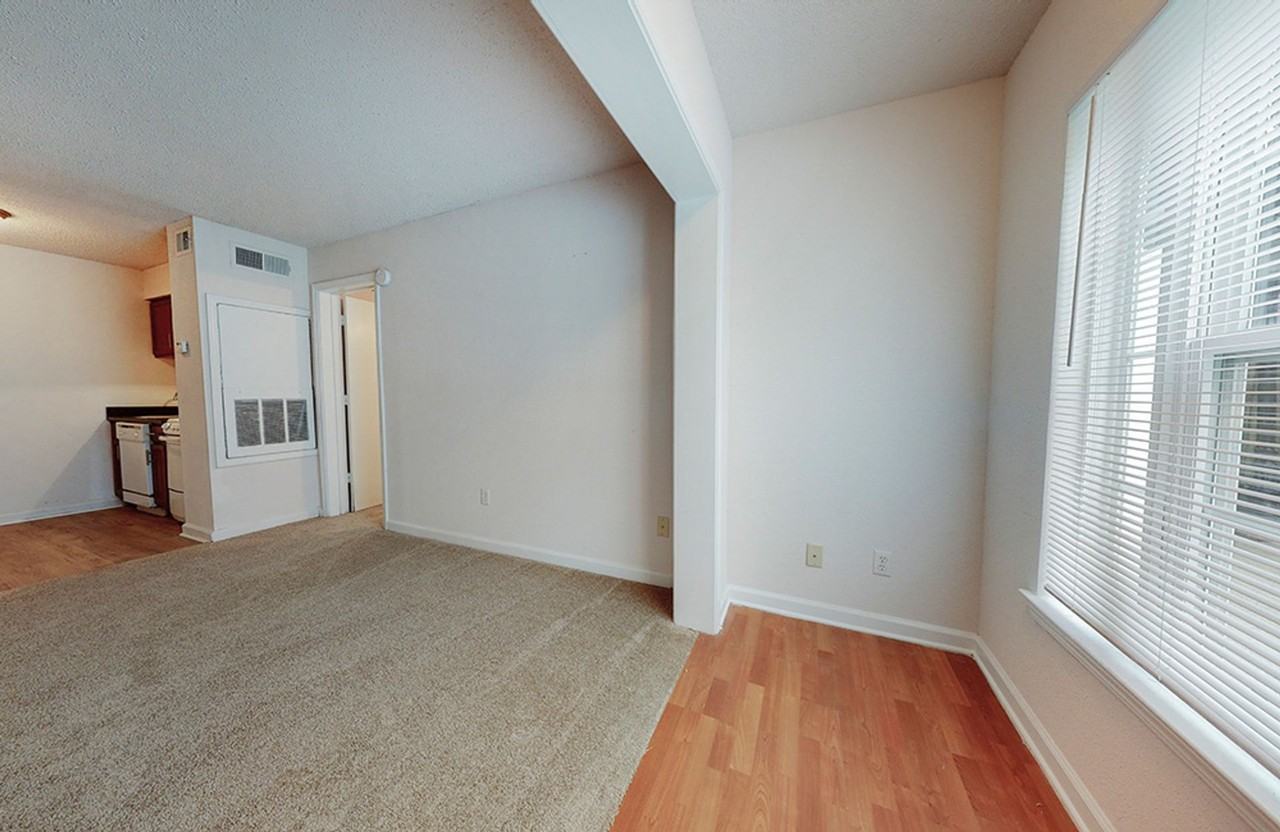 Sandpiper - Photo 3 of 18