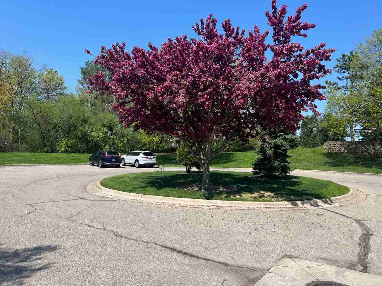 2074 Bent Trail Ct - Photo 7 of 14