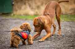 2100 172nd St Ne - Photo 1 of 1