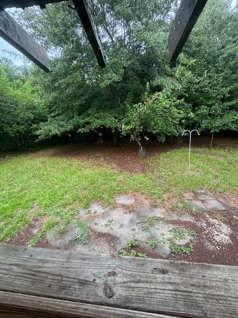 2813 Rocky Creek Rd - Photo 4 of 13