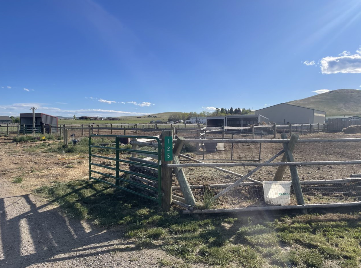 125 Sandy Ln - Photo 2 of 6