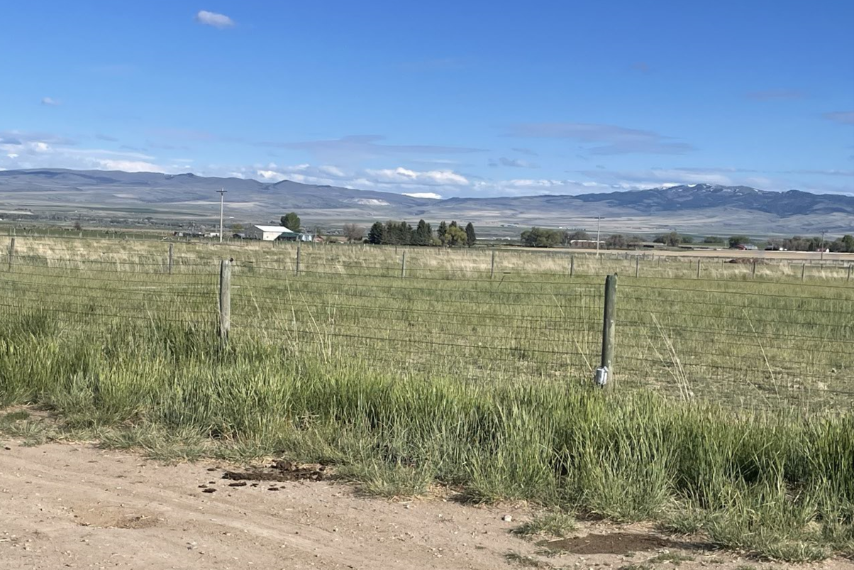 125 Sandy Ln - Photo 3 of 6