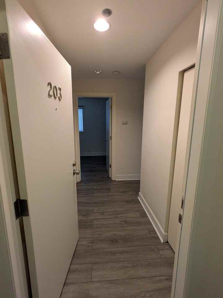 Louie 2316 #203 (VC) - Photo 3 of 19