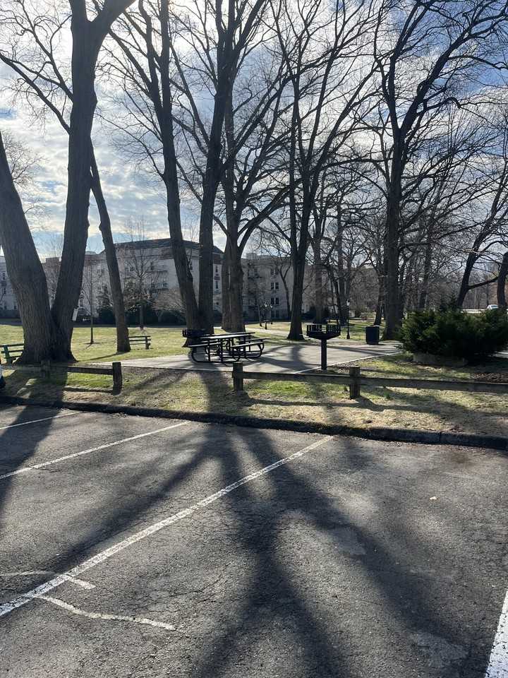 104 Woodside Grn #3B - Photo 2 of 11